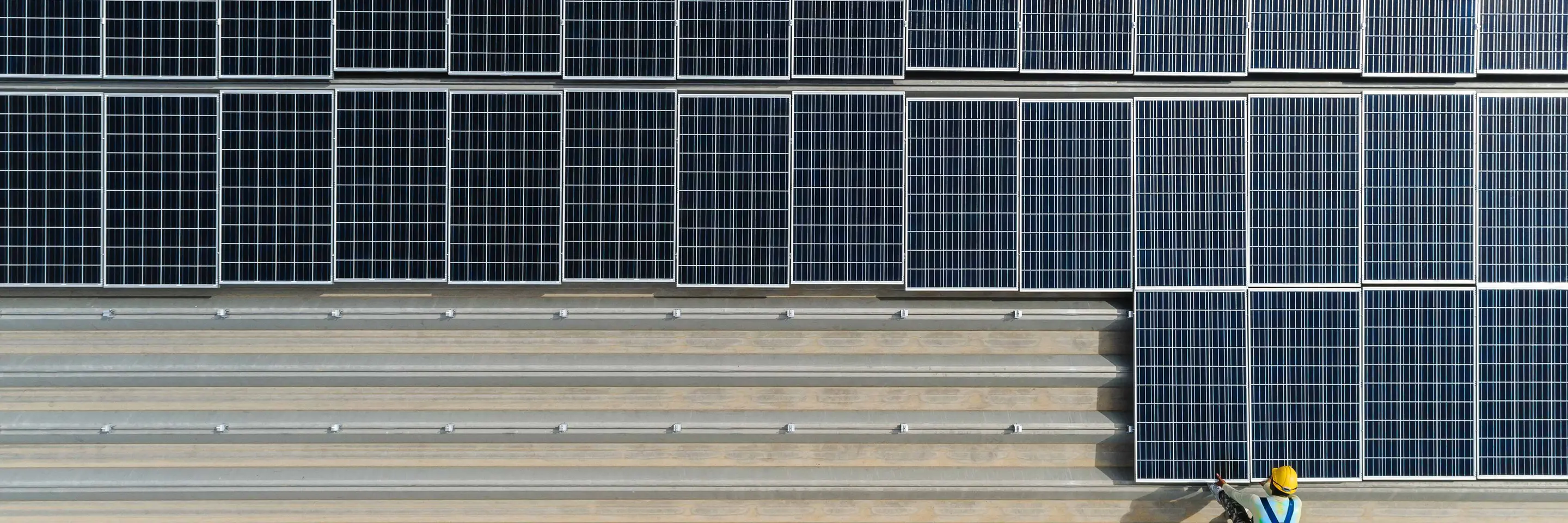 The ESG evolution: What 2025 holds